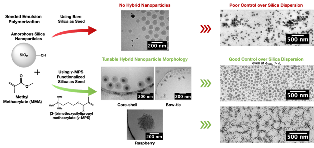 Projet NANOLIFE